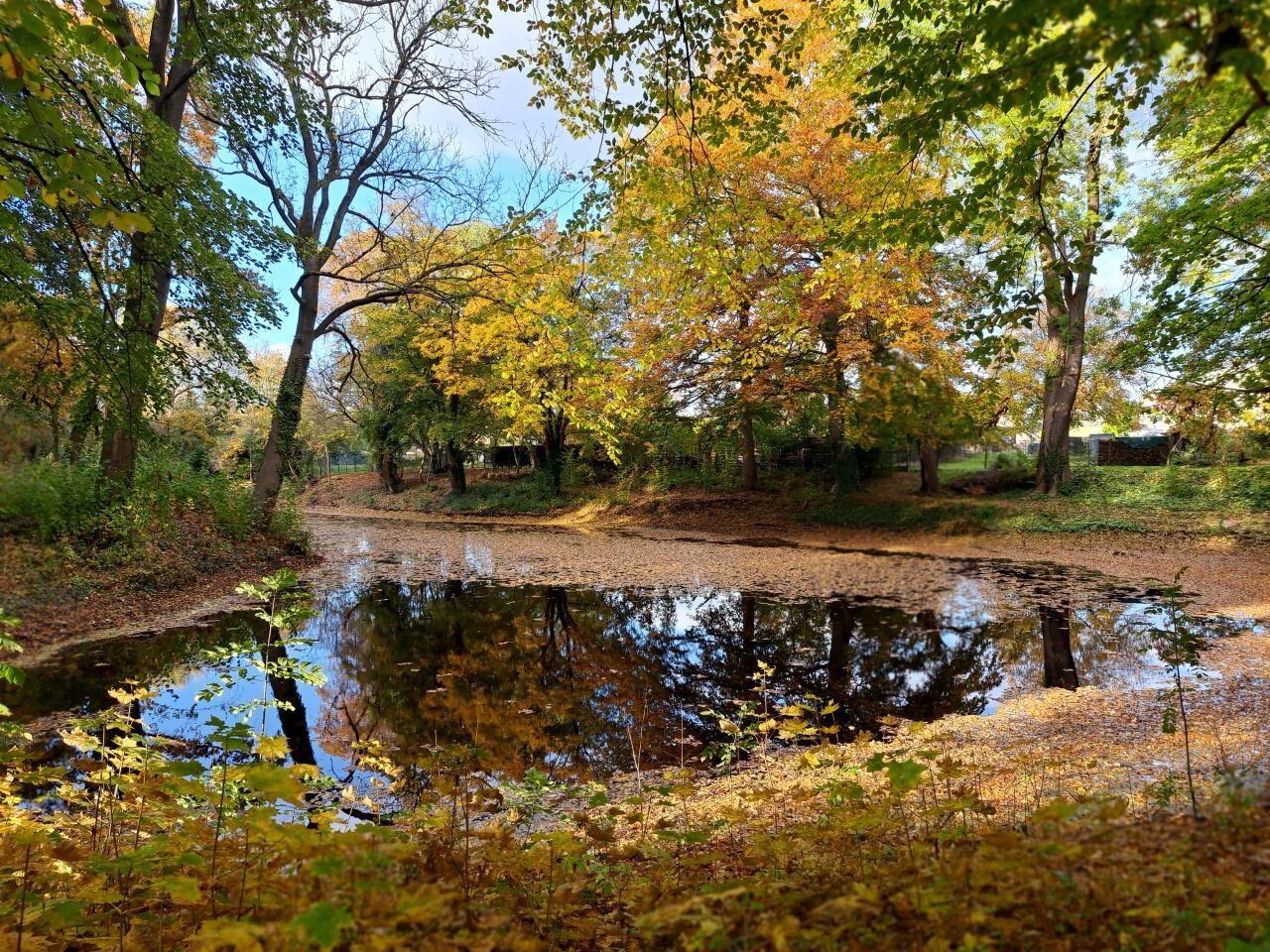Herbst