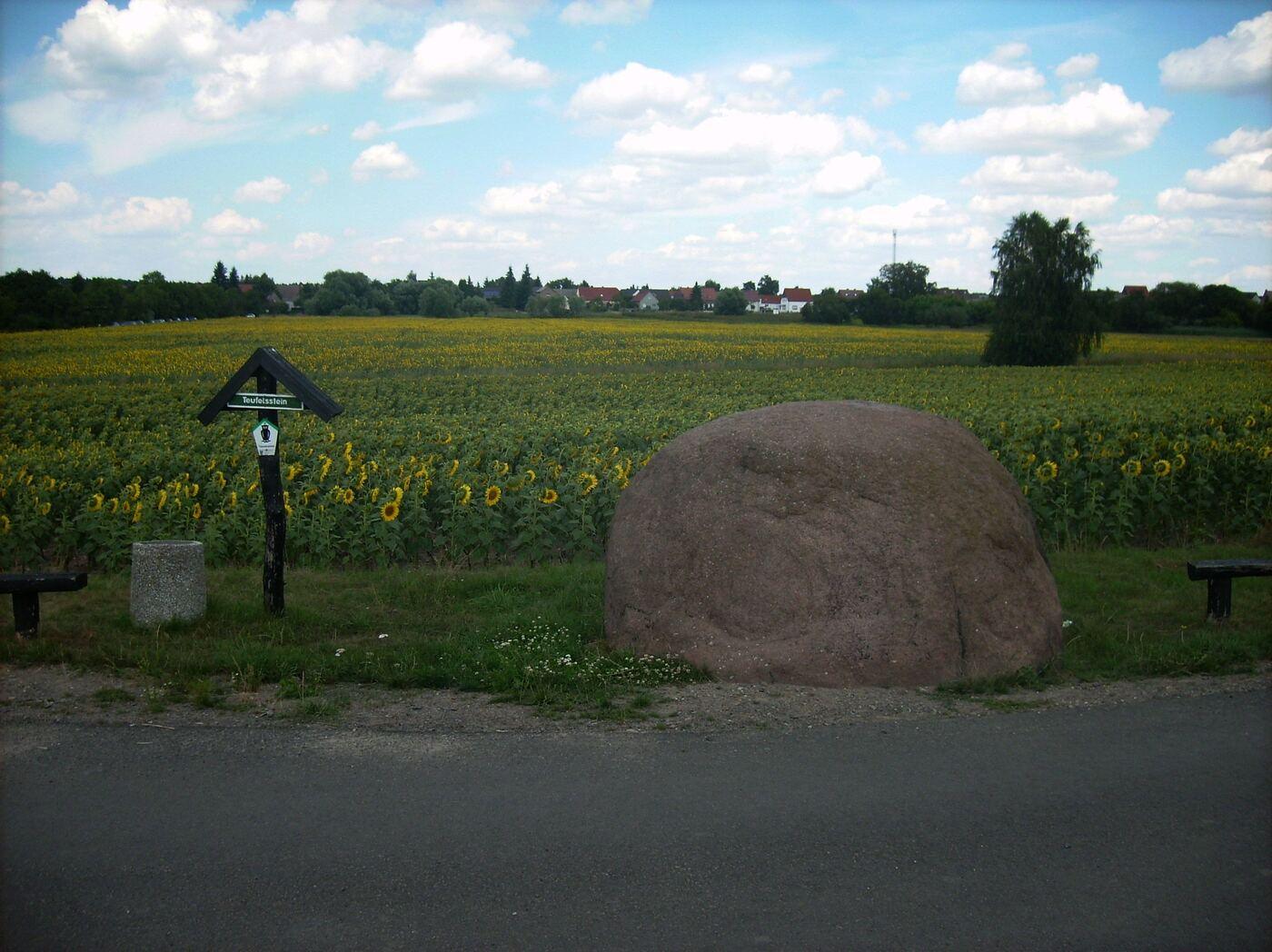 Der Teufelsstein in der Dübener Heide